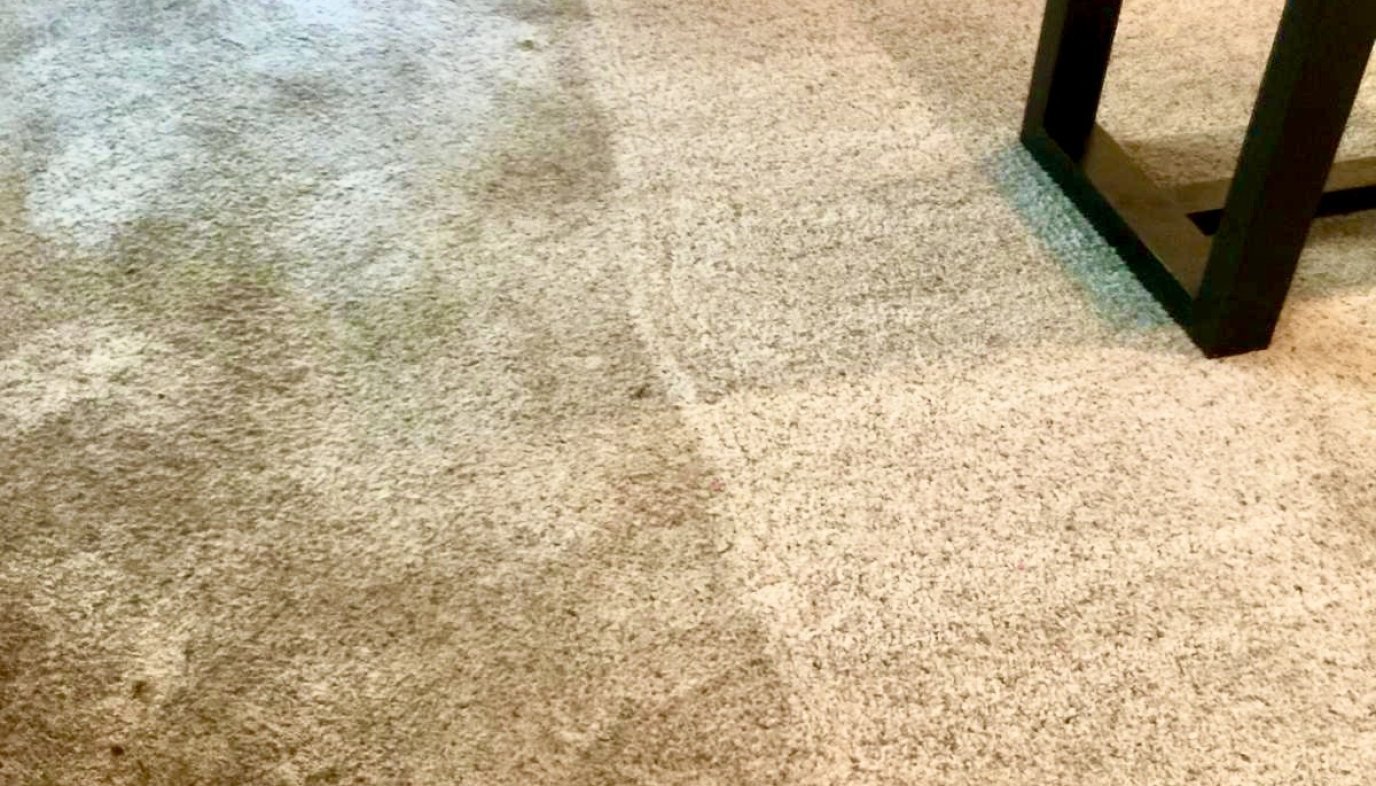 Carpet in a San Diego home during a professional hot water extraction clean: the soiled traffic area on the left next to the freshly cleaned section on the right