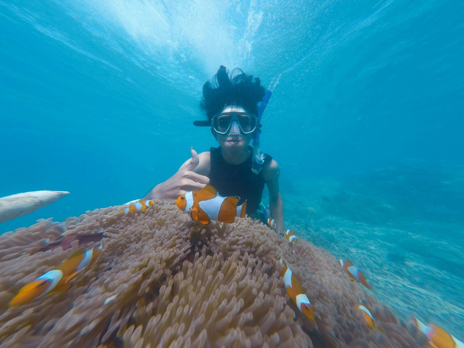 Snorkeler giving a hand sign near clownfish and sea anemone in clear ocean waters.